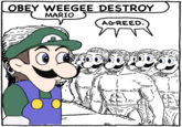 OBEY WEEGEE DESTROY MARIO AGREED.