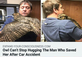 EXPAND-YOUR-CONSCIOUSNESS.COM Owl Can't Stop Hugging The Man Who Saved Her After Car Accident