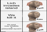 Lich invades island Panik We kill it It's soul now inhabits a primordial wyvern imgflip.com Kalm Panik