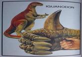 IGUANODON