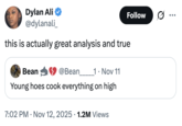 A "quote-tweet":https://knowyourmeme.com/memes/quote-retweets-qrts of the original "Young Hoes Cook Everything on High" post in November 2025.