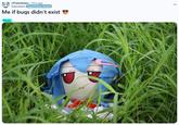 r/Fumofumo ⚫ 5mo ago Sukiichann FumoFumo Tenshi Me if bugs didn't exist Photo