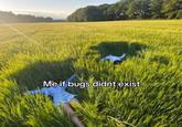 Me if bugs didnt exist