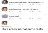 SOUR is there anyone even named sheldon irl? 3 272 28 my classmate from 6th Grade :) 3 37 that's cool 1 27 Replying to Its a preery nornal name really