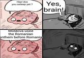 tag/w Hey! Are you asleep yet? Yes, brain! Moldova used the Romanian anthem before Romania
