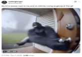 A "tweet":https://knowyourmeme.com/memes/sites/twitter-x using the "GIF":https://knowyourmeme.com/memes/cultures/gif of a "monkey":https://knowyourmeme.com/memes/monkeys-apes or gorilla flying into a tornado, which was generated using "Sora AI":https://knowyourmeme.com/memes/sites/sora-openai.