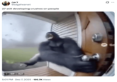 A "tweet":https://knowyourmeme.com/memes/sites/twitter-x using the "GIF":https://knowyourmeme.com/memes/cultures/gif of a "monkey":https://knowyourmeme.com/memes/monkeys-apes or gorilla flying into a tornado, which was generated using "Sora AI":https://knowyourmeme.com/memes/sites/sora-openai.