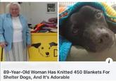 i 89-Year-Old Woman Has Knitted 450 Blankets For Shelter Dogs, And It's Adorable