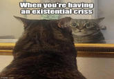 imgflip.com When you're having an existential criss