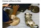 Home office is like