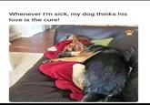 Whenever I'm sick, my dog thinks his love is the cure!
