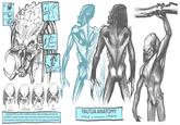 Nude Protective membrane Eyelid Nostril a Ear IS behind reads" ות ו Tongue is used To clean teeth. Nuctral Entertained Distraught ☑ Mad Yautja use thier top outter mandibles, bottom outter mandibles and inner top mandibles to display complex range of emotions. As they don't have brow muscles, their expressive mouth does all the the work in the inner-species communications YAUTJA ANATOMY redesign & reimagination of PREDATOR