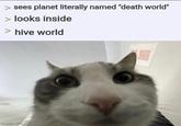sees planet literally named "death world" > looks inside > hive world imgflip.com