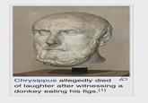 Chrysippus allegedly died of laughter after witnessing a donkey eating his figs.[1]