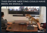 THIS ENTIRE MEETING COULD HAVE BEEN AN EMAIL!!!