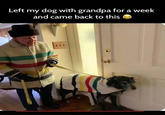 Left my dog with grandpa for a week and came back to this