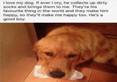 I love my dog. If ever I cry, he collects up dirty socks and brings them to me. They're his favourite thing in the world and they make him happy, so they'll make me happy too. He's a good boy.