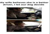 My wife believes she is a better driver, I let our dog decide