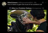 tilted towers @0boymeetsworld - 13h how it feels to gain the trust of an outdoor cat Alien vs. Predator Galaxy @avpgalaxy 1d GIF 800