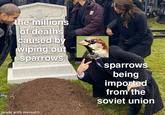 the millions of deaths 1985-2019 caused by busband Star City wiping out sparrows sparrows being imported from the soviet union made with mematic