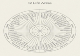 12 Life Areas Environment Recreation Community Health Sleep Fitness Nutrition Hygiene Volunteering Local Events Helping Others Social Responsibility Connections Aesthetics Maintenance Comfort Cleanliness Organization Travel Pleasure Sport Entertainment Hobbies 11 10 9 Spirituality Appearance Intimacy Dating Life Partnership Romantic Relationships Self-Love Aesthetic Care Fashion Hair Skincare Body Image Mental Health 34 2 5 1 12 122 8 67 Financial Planning Financial Independence Purpose Goal Setting Habits and Routines Passions Self-Reflection Mindfulness Inner Peace Personal Beliefs Compassion Connection with Nature Self-Growth Love Bonding Time Support System Stability Traditions Responsibilities Social Circle Social Support Social Events Shared Experiences Cultural Exchange Formal Education Skill Development Learning Networking Work-Life Balance Income Savings Investing Money Career Friends Family