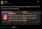 Livvvv @w0ahitsjade Apparently Rosscreations sending a possum flying 80ft into the air isn't animal abuse?? Absolute B-------. Ο Instagram Yesterday, 9:20 PM We reviewed your report and found that creationsross's post does not go against our Community Standards. • • 3:18 AM Dec 3, 2025 4,035 Views