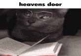 heavens door