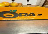 RA- FRESH FRUITS EXPORTS www.ORAEXPORTS.COM