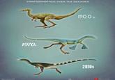 COMPSOGNATHUS OVER THE DECADES 1970s ARO LANZAS 1900 5 2010s Mario Lanzas 2025 mariolanzaspeciosus Mario Lanzas.