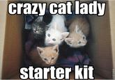 crazy cat lady starter kit ROFLBOT