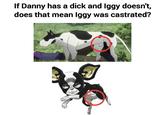 If Danny has a d--- and Iggy doesn't, does that mean Iggy was castrated?