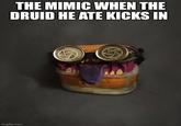 THE MIMIC WHEN THE DRUID HE ATE KICKS IN imgflip.com