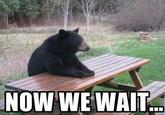 NOW WE WAIT....