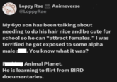Loppy Rae @LoppyRae Animeverse SOON My 6yo son has been talking about needing to do his hair nice and be cute for school so he can "attract females." I was terrified he got exposed to some alpha male . You know what it was? s Animal Planet. He is learning to flirt from BIRD documentaries.