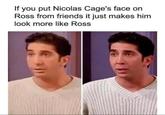 If you put Nicolas Cage's face on Ross from friends it just makes him look more like Ross