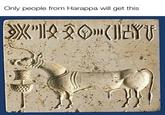 Only people from Harappa will get this XY