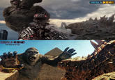 GODZILLA KONG THE NEW EMPIRE VS. GODZILLA KONG