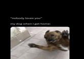 "nobody loves you" my dog when i get home: