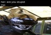 her: are you stupid me: