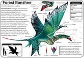 Forest Banshee Pandoradraco saltus Forest banshees belong to pandoradraco- sharing the genus with their famous cousin the mountain banshee. Both are physiologically similar though the forest banshee is notably smaller with a wingspan of 7 meters as opposed to the 13.9 meter wingspan of the mountain banshee. Aside from the size difference, forest banshees also live far less conspicuous lives than their mountainous counterparts and tend to hide beneath dense canopies. Each individual posessesvaried flamboyant markings for display that ranges within generally cooler colors like blues, greens, and purples though the mandibular crest and tail are often brightly colored for mating display. Rostrodon Primaries Ectroterygoids (Palatines) Cell Posterior margins Im Size A--- margin- Hallux Coastal margins Information Na'vi name Ikranay Diet Fish, small animals Wingspan 7m Habitat Tropical forests Pollal crest @parulidart Pollex Vestigial branchiae (gills) Neural queues Naris Operculum Respiratory exit P. saltus P. hallelujaensis Sharp, obsidian-like teeth and rostrodontae Compared to the tail of P. hallelujaensis, the forest banshee's is significantly thinner-likely adapted for reduced aerodynamic drag; though the tail is brightly colored and likely still plays a role in intimidation and courtship display.
