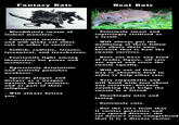 Fantasy Rats Real Rats - - Bloodthristy swarm of violent monsters. - Constantly starving and will glady eat other rats in order to survive. · Selfish, sadistic, vicious, tyrannical, and treacherous. - Constantly fight among themselves for power and resources. - Agressively darwinistic and actively punishes weakness. - Spreads plague and disease as a weapon against their enemies, and as part of their religion. - Will always betray you. · Extremely smart and suprisingly civilized as a result. - Will always put the wellbeing of their fellow rats above their own, because that is how the swarm survives. - Does not have any kind of leader figure, all rats are equal and serve the swarm equally. - - Will go out of their way to abandon food in order to help other rats. - Very empathetic and will bond with just about any creature, because anything that helps the swarm is a friend. Shockingly nice and loving. – · Extremely cute. Not the rat's fault that it carries parasites and can spread disease, the rat doesn't even comprehend that it is a disease vector.
