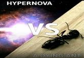 HYPERNOVA VS A DYING ANT