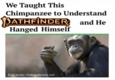 We Taught This Chimpanzee to Understand PATHFINDER and He Hanged Himself Full story: thehardtimes.net
