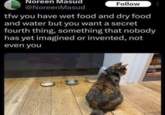 Noreen Masud @Noreen Masud Follow tfw you have wet food and dry food and water but you want a secret fourth thing, something that nobody has yet imagined or invented, not even you