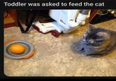 Toddler was asked to feed the cat ROTATOR