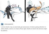 MINE! chainsxwsmile Lemon sharks may occasionally get possessive of divers giving attention to other sharks, and try to chase off any tiger sharks of whom the lemons might be jealous.