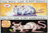 How RATS Look To RAT OWNERS S RAGOE HOW THEY LOOK TO RAT NONBELIEVERS GET READY FOR DISEASE