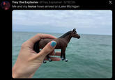 Trey the Explainer @Trey_Explainer • 5/18/25 Me and my horse have arrived on Lake Michigan X