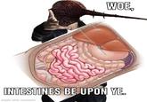 WOE, INTESTINES BE UPON YE. made with mematic