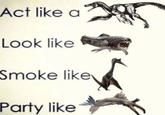 Act like a Look like Smoke like Party like